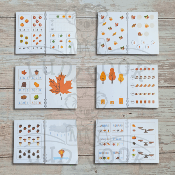 MyLudiBook Automne – Image 2