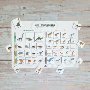 Poster Dinosaures (2 versions)