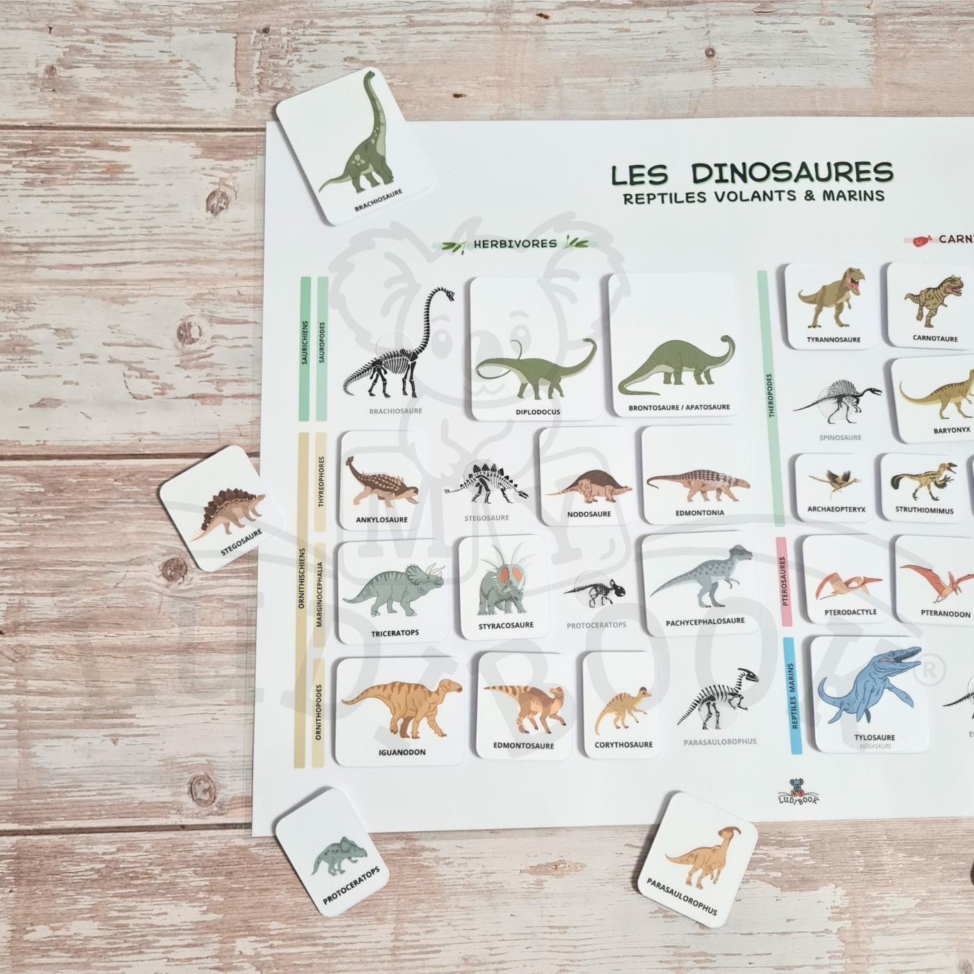 Poster Dinosaures (2 versions) – Image 2
