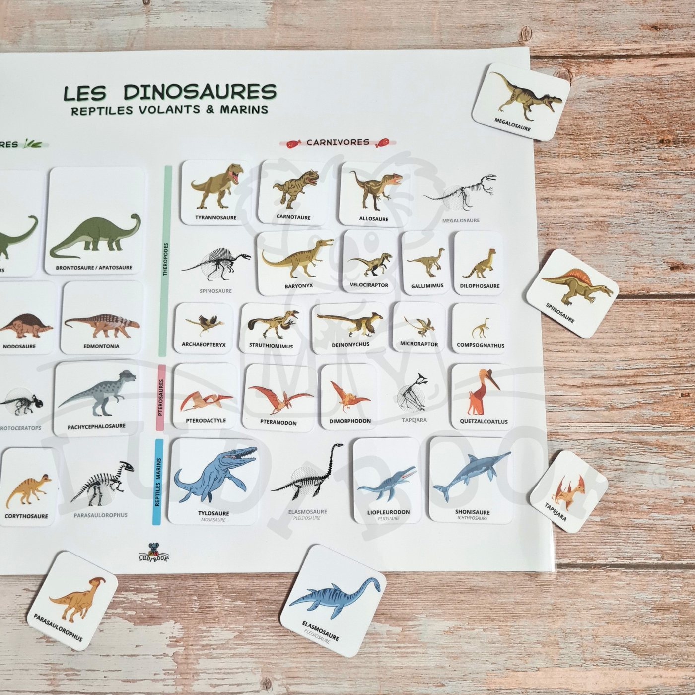 Poster Dinosaures (2 versions) – Image 3