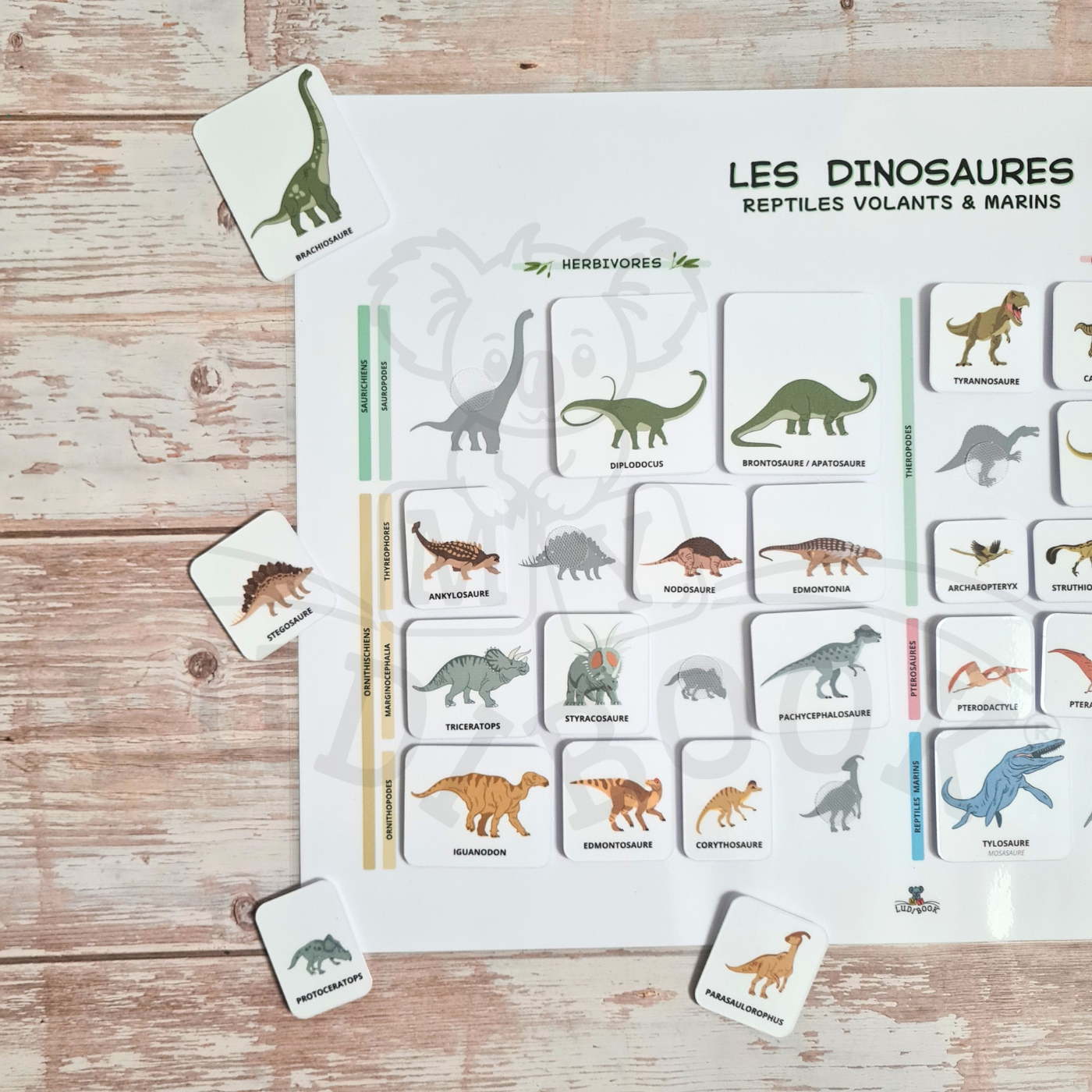 Poster Dinosaures (2 versions) – Image 5