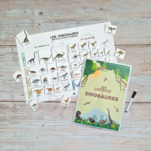 pack dinosaures